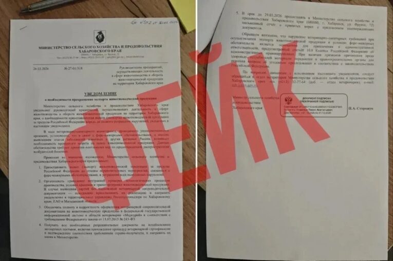 Фейковое сообщение получили предприниматели Хабаровского края