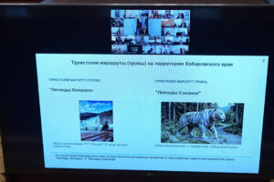 туризм хабаровск