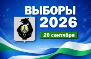 Выборы-2026: какие регионы ДФО готовятся к изменениям политического ландшафта