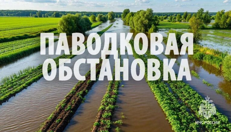 Три села Хабаровского края освободились от паводковых вод
