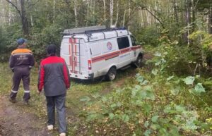 Три грибника заблудились в лесах под Комсомольском-на-Амуре